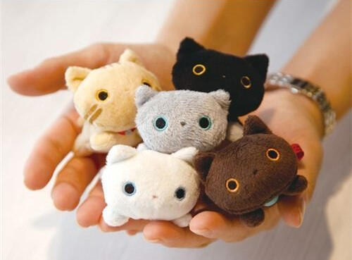 calming kitties calming kitties